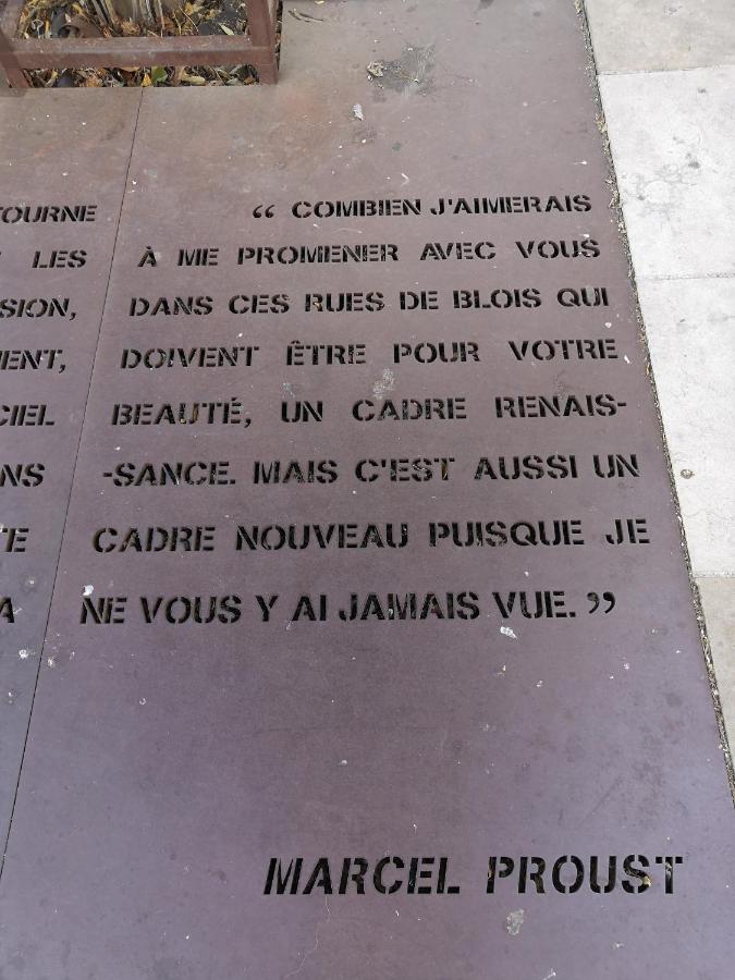 Au Fil De Loire Lejlighed Blois Eksteriør billede